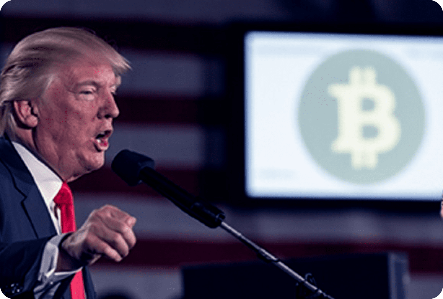 Trump's pro-crypto policy